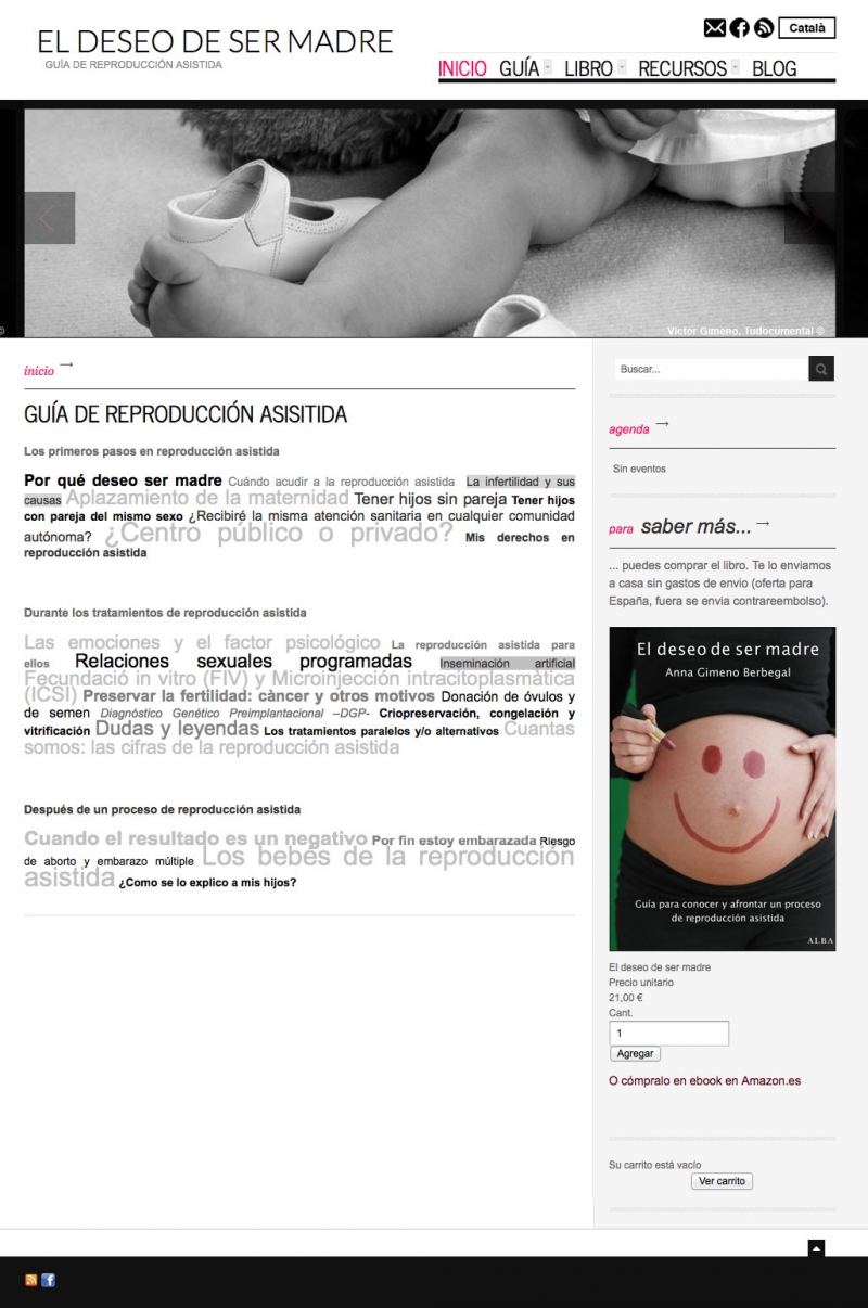 Homepage of deseosermadre.com